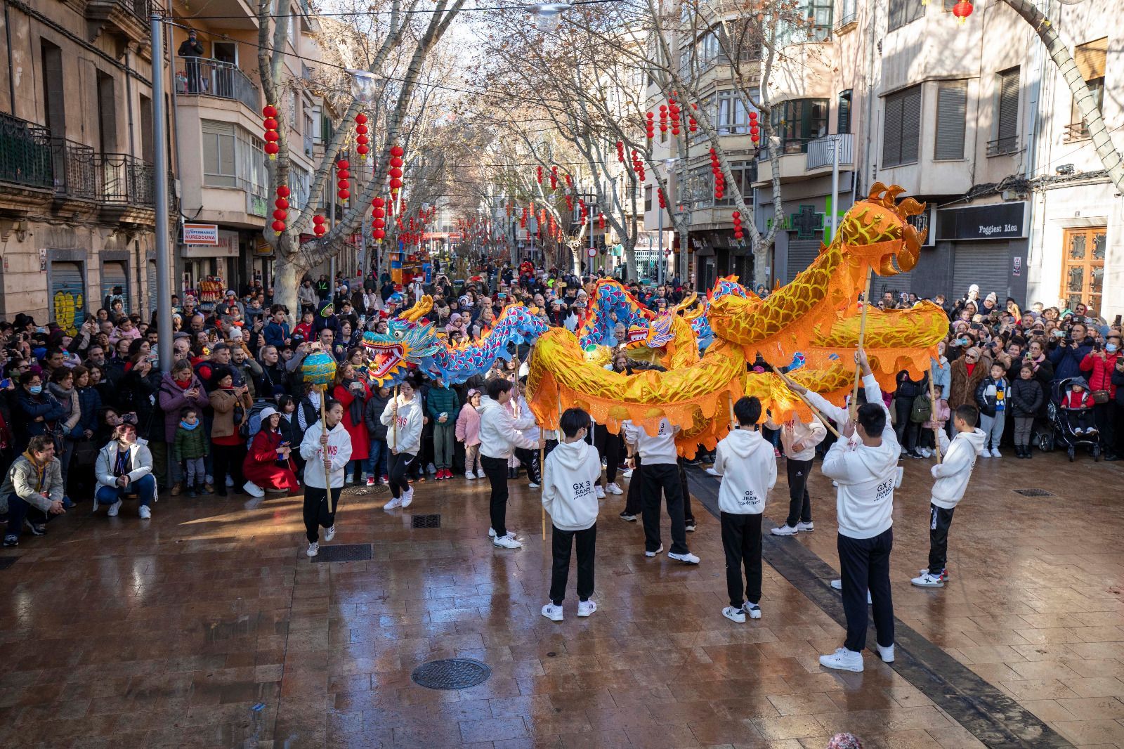 Tanzende Drachen: So bunt feiert Palma de Mallorca das chinesische Neujahrsfest