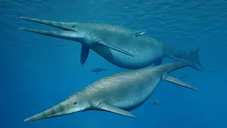 Así era el primer animal gigante que habitó la Tierra