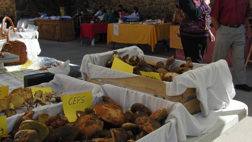 Albanyà celebra la Fira del Bolet aquest cap de setmana