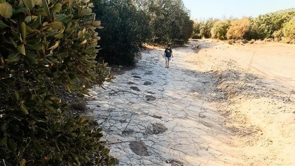 El rastro más largo de un saurópodo del Jurásico de España