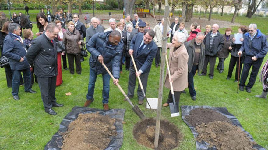 El alcalde Carlos Negreira, en el centro, plantando un álamo temblón en el parque Ponte da Pedra.