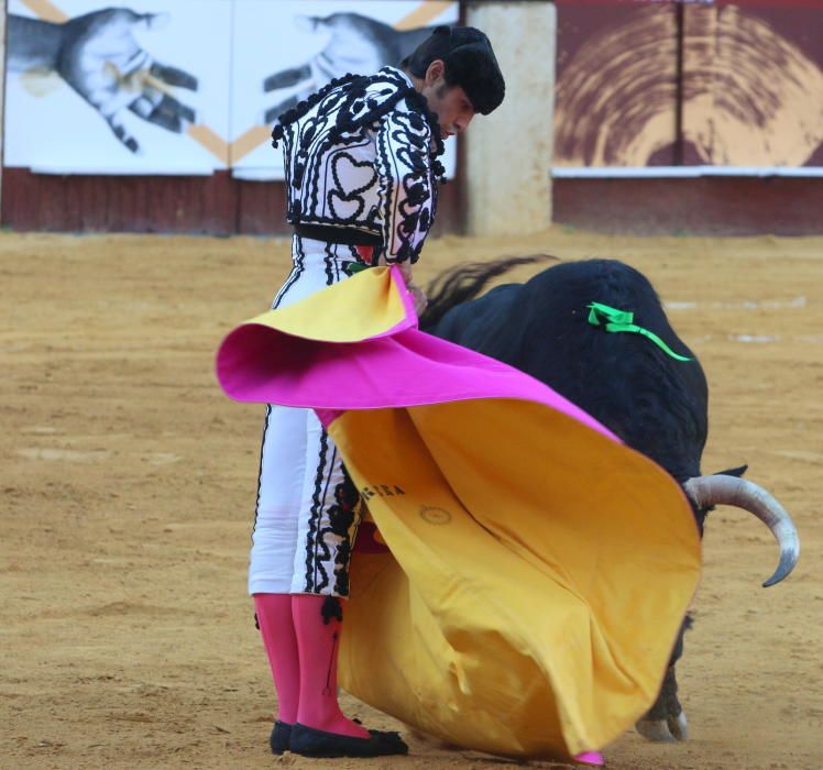 Toros | Corrida Picassiana de la Feria de Málaga