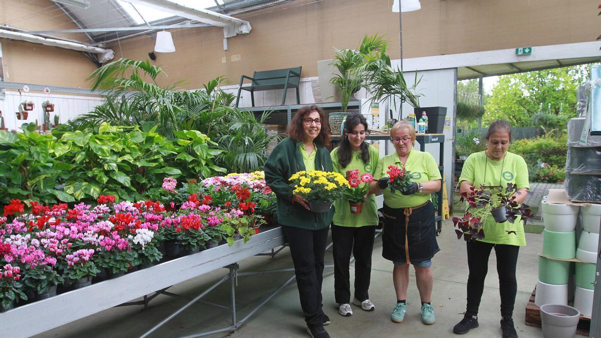 El sector floristero inicia en agosto la campaña de Fieles Difuntos: "Son dos meses de trabajo para una semana"
