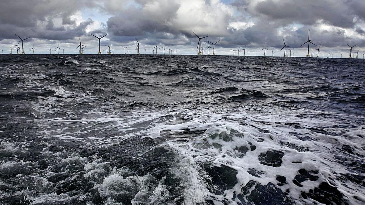 Aerogeneradores del parque “offshore” Wikinger, en Alemania, el que abrió a Windar Renovables la puerta al negocio de la eólica marina. | Francis Tsang / Iberdrola