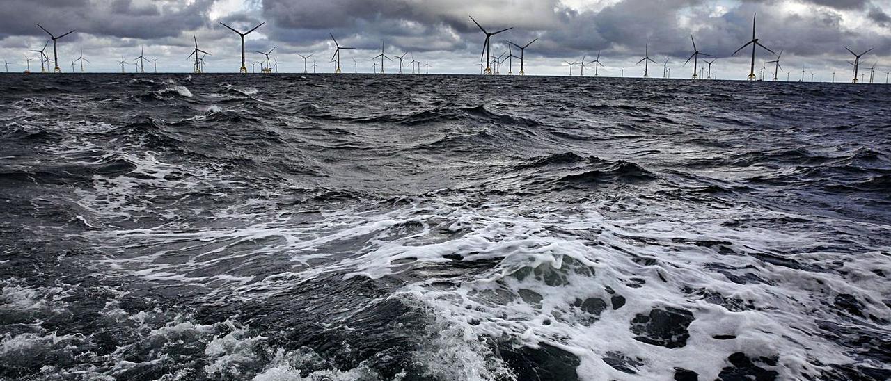 Aerogeneradores del parque “offshore” Wikinger, en Alemania, el que abrió a Windar Renovables la puerta al negocio de la eólica marina. | Francis Tsang / Iberdrola