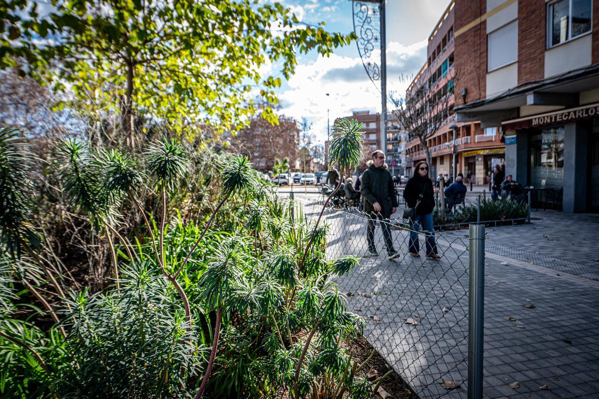 La plaza de la Llibertat de Cornellà de Llobregat.