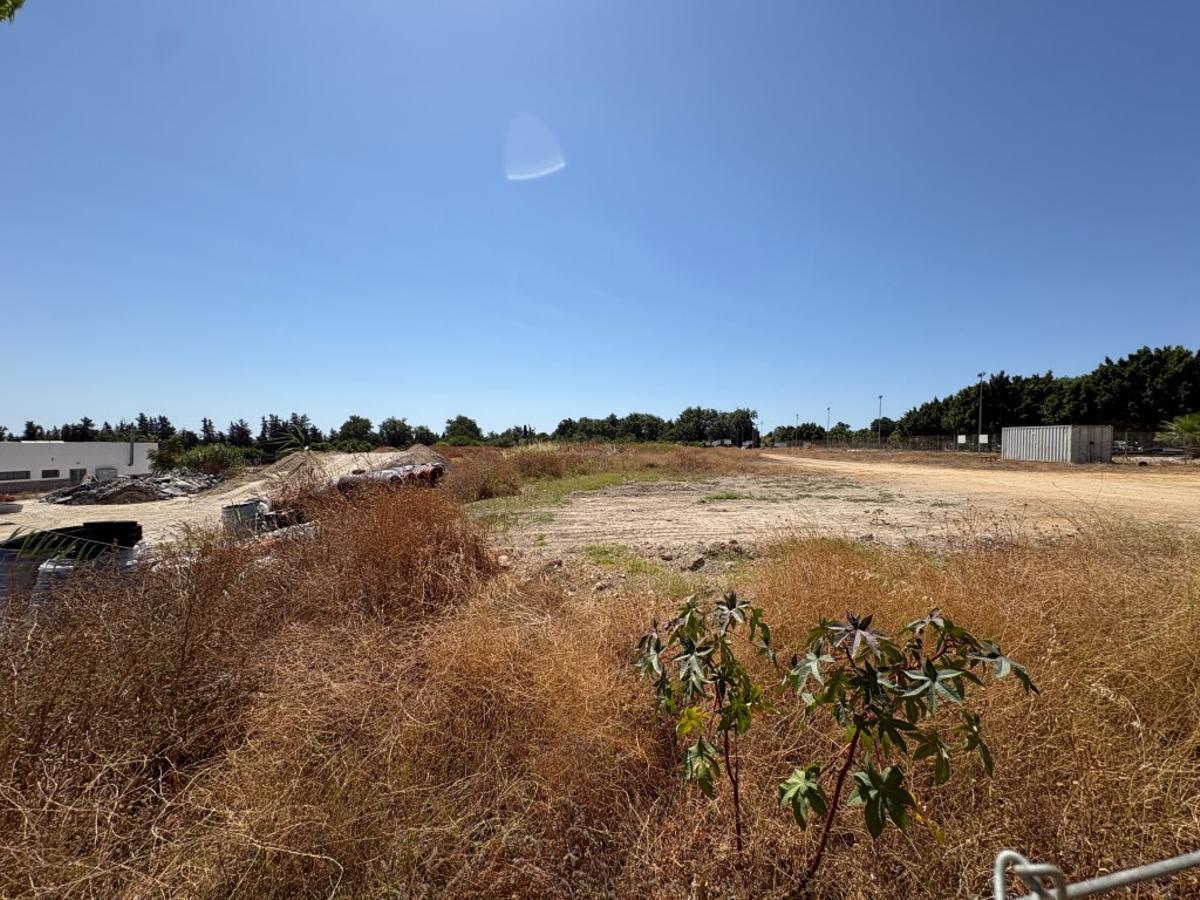 Otra vista de los terrenos de Las Espeñuelas, en Churriana, prometidos durante 27 años como complejo deportivo.