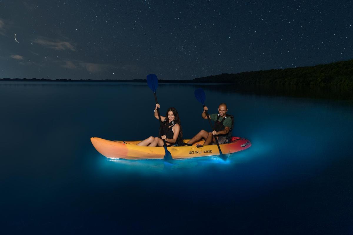 Vieques, bahía bioluminiscente, una maravilla natural que no debes perderte durante tu viaje a Puerto Rico.