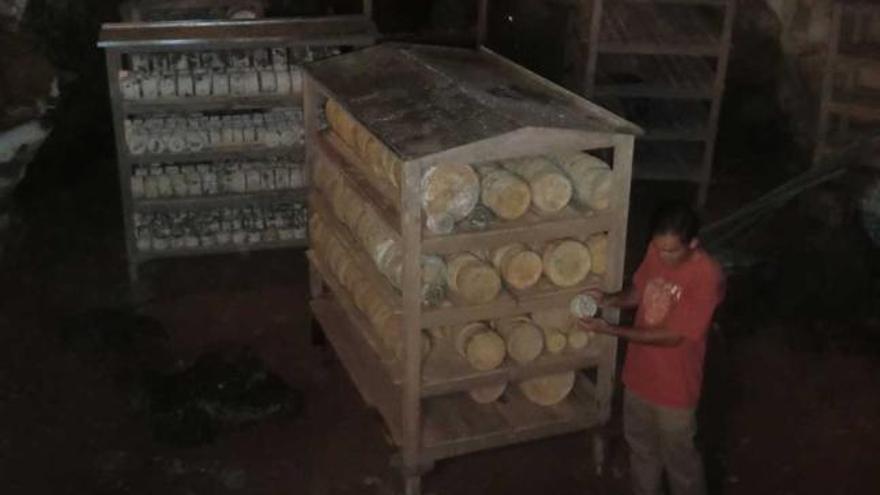 Estanterías con quesos, en la cueva de maduración en Onís.