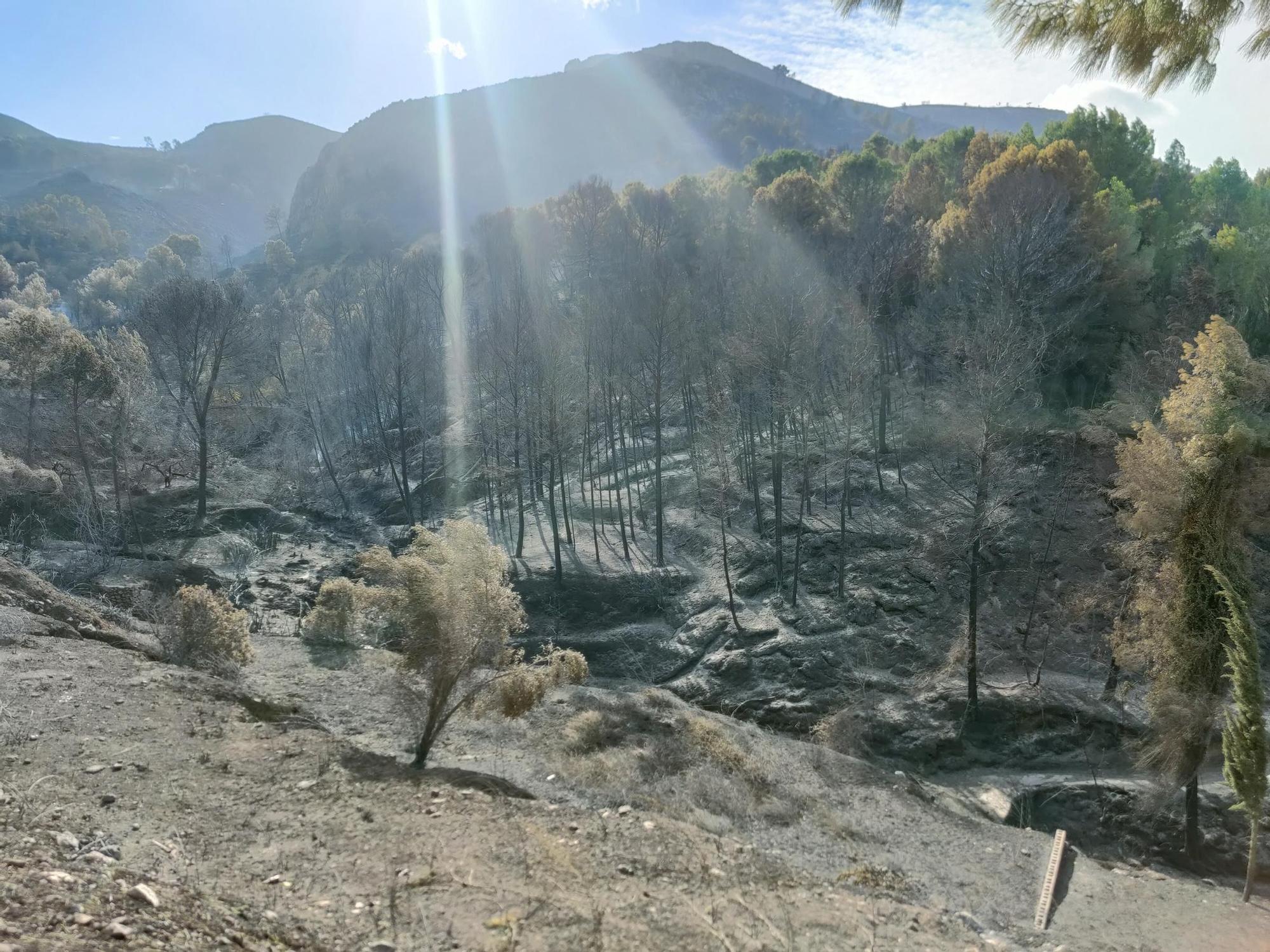 El incendio forestal arrasa con la sierra natural de Terrateig