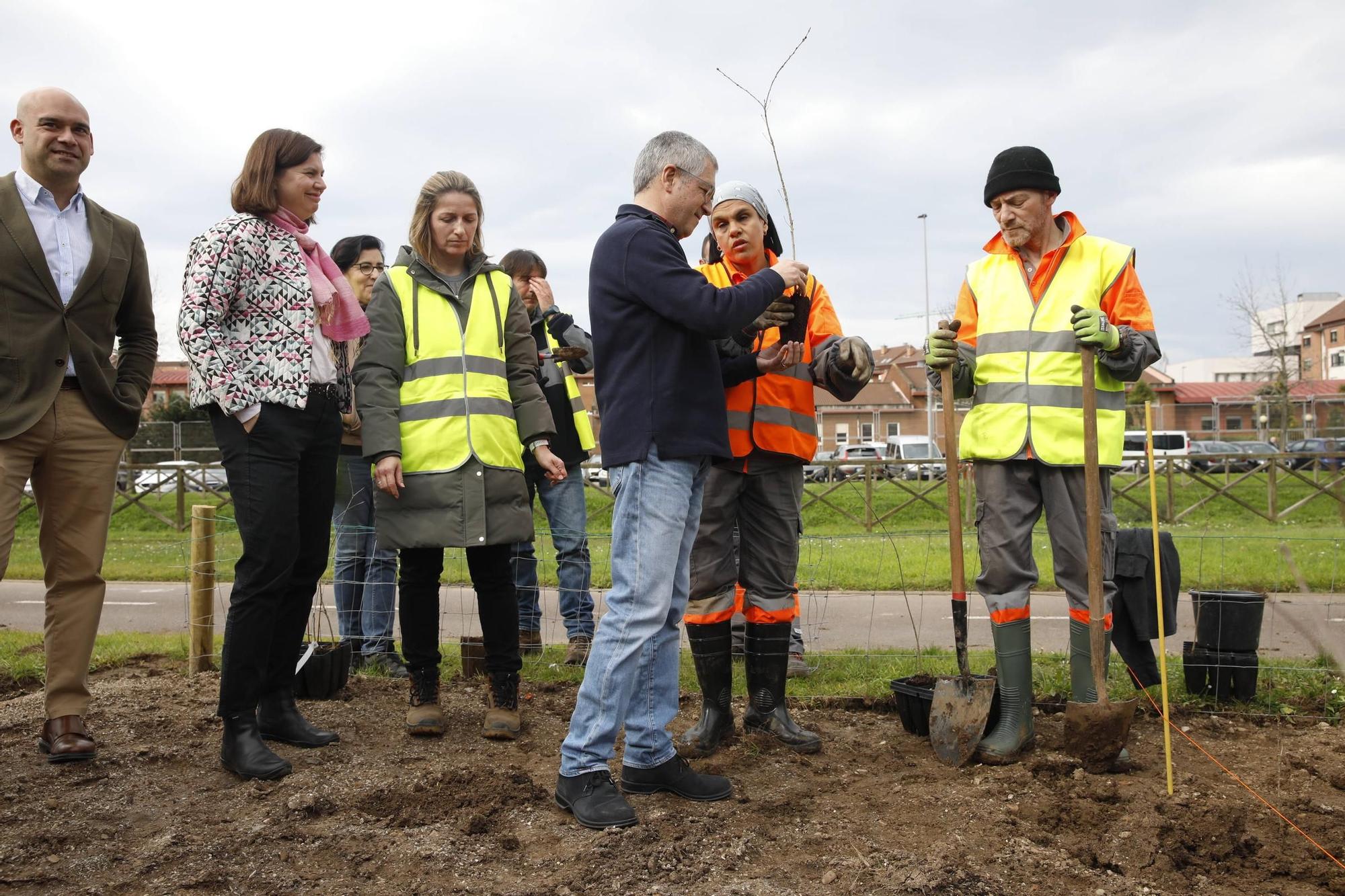 El secretario de Estado Hugo Morán participa en la plantación de minibosques en Gijón (en imágenes)