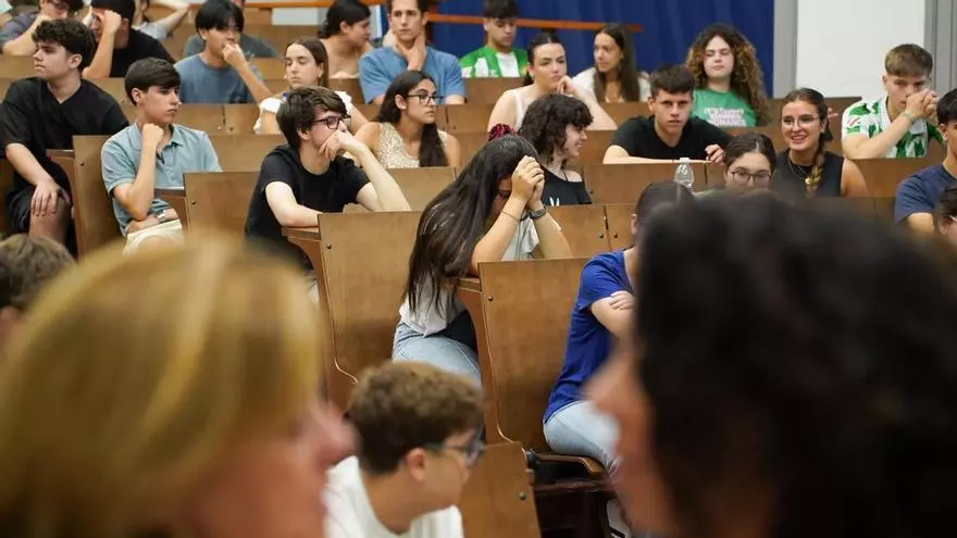 VÍDEO | Las carreras universitarias más demandadas en las universidades de Sevilla