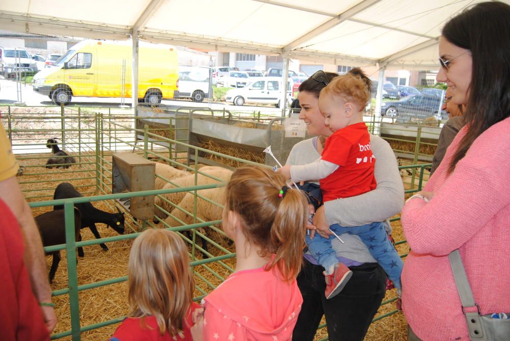 Segona jornada de la Fira de Sant Isidre a Solsona