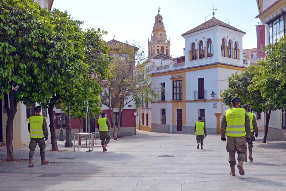 Cordoba redobla sus esfuerzos sanitarios y sociales frente al coronavirus