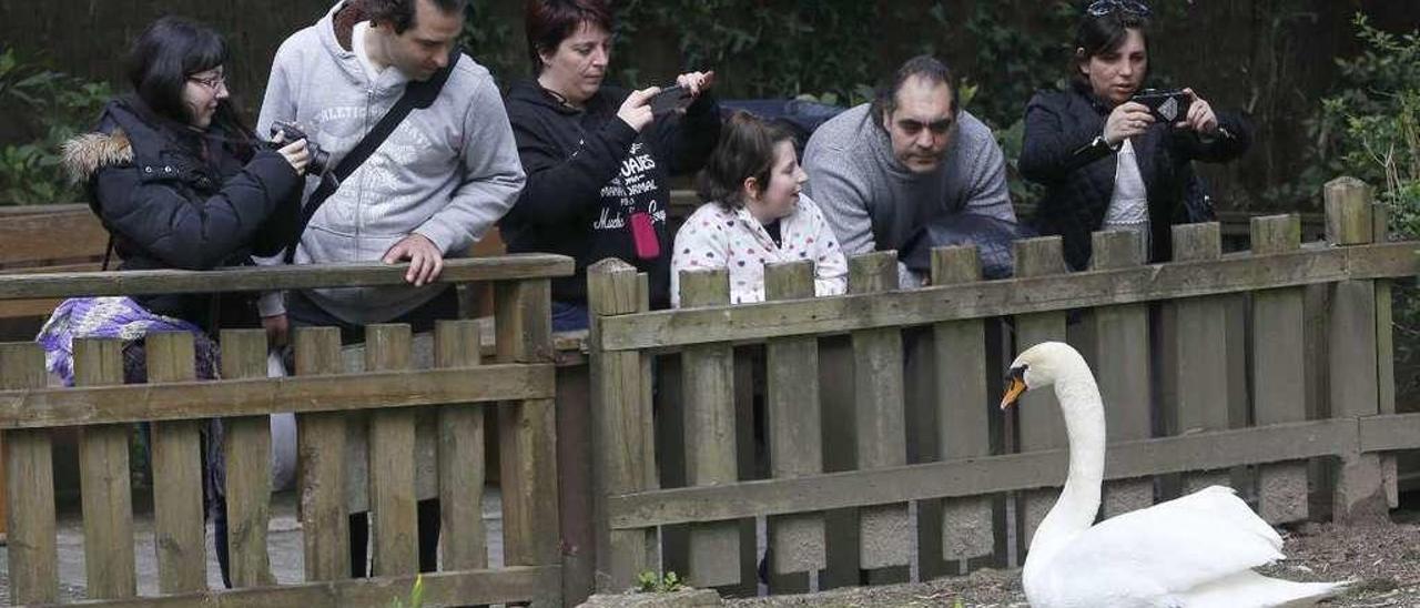 Algunos animales de Vigozoo se encuentran a escasos metros de los visitantes. // R. Grobas