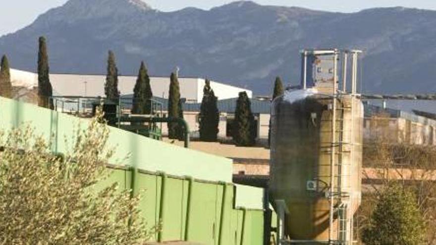 La depuradora de Alfarrasí, situada a escasos metros de la industria, en una imagen de ayer.