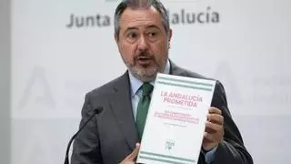 La justicia investigará los contratos exprés del Servicio Andaluz de Salud