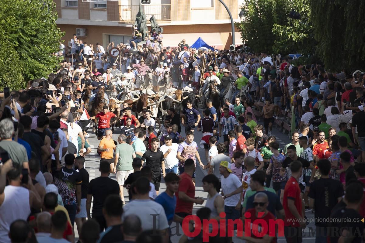 El segundo encierro de las Fiestas de Moratalla se salda con un herido