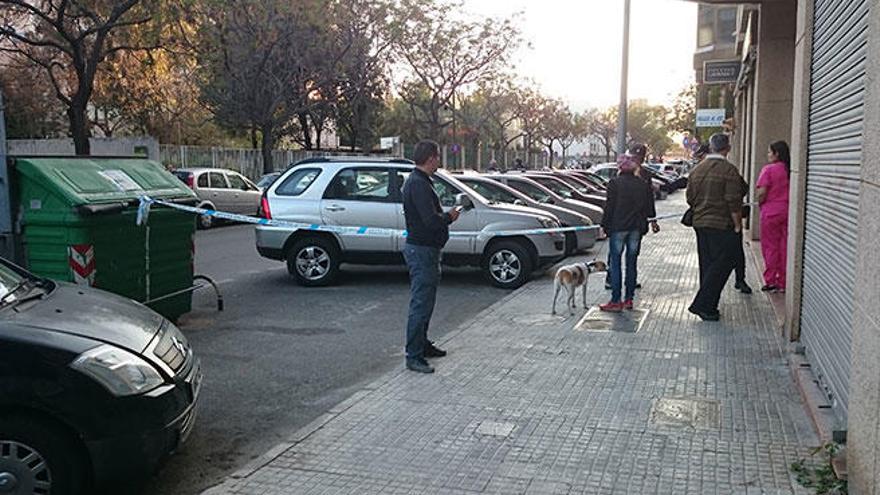 Despliegue policial por un paquete sospechoso en Palma