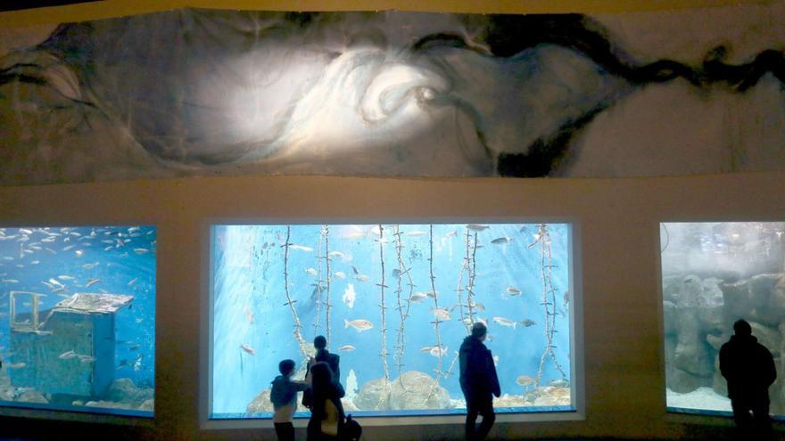 Visitantes en la sala Maremagnum del Aquarium Finisterrae, esta semana. |   // IAGO LÓPEZ