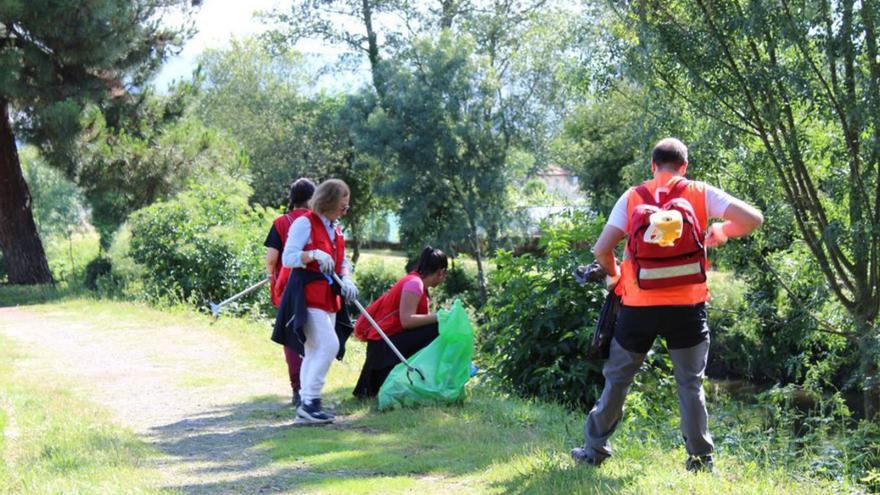 Voluntarios de Cruz Roja recogen basura en Verín.   | // FDV