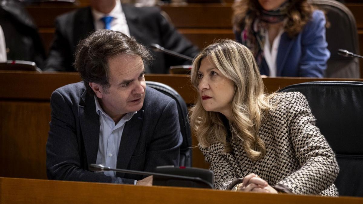 La vicepresidenta Mar Vaquero conversa con el consejero de Hacienda, Roberto Bermúdez de Castro.