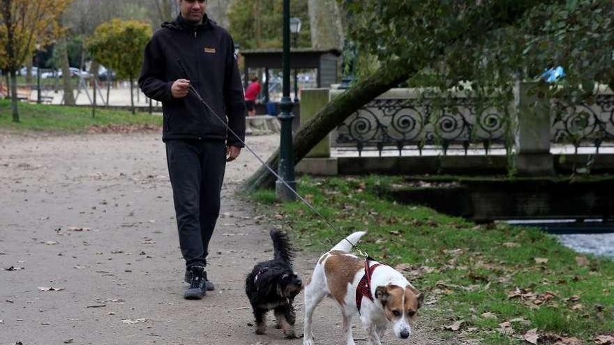 Más de un centenar de vigueses se ofrecen como paseadores de perros en la  ciudad - Faro de Vigo