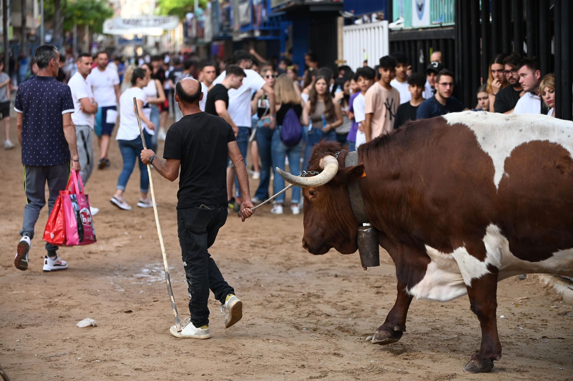 Revive los mejores momentos de la última sesión vespertina de toros en Vila-real