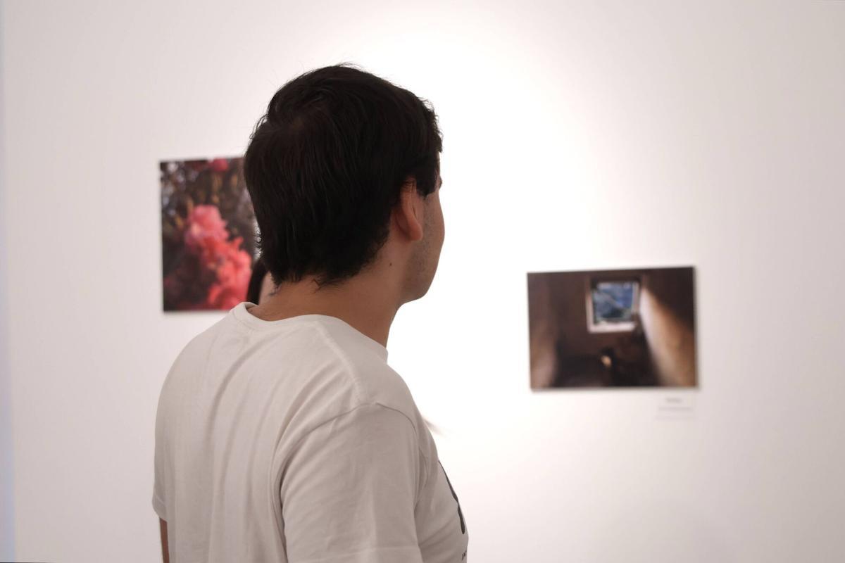 exposición “Aleatorio”. Exposición del taller de iniciación a la fotografía impartido por la concejalía de juventud para el verano joven