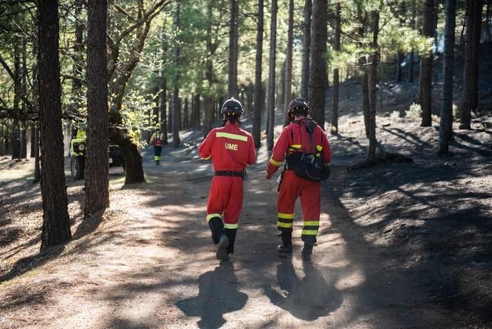 La UME realiza prácticas de prevención de incendios en Gran Canaria