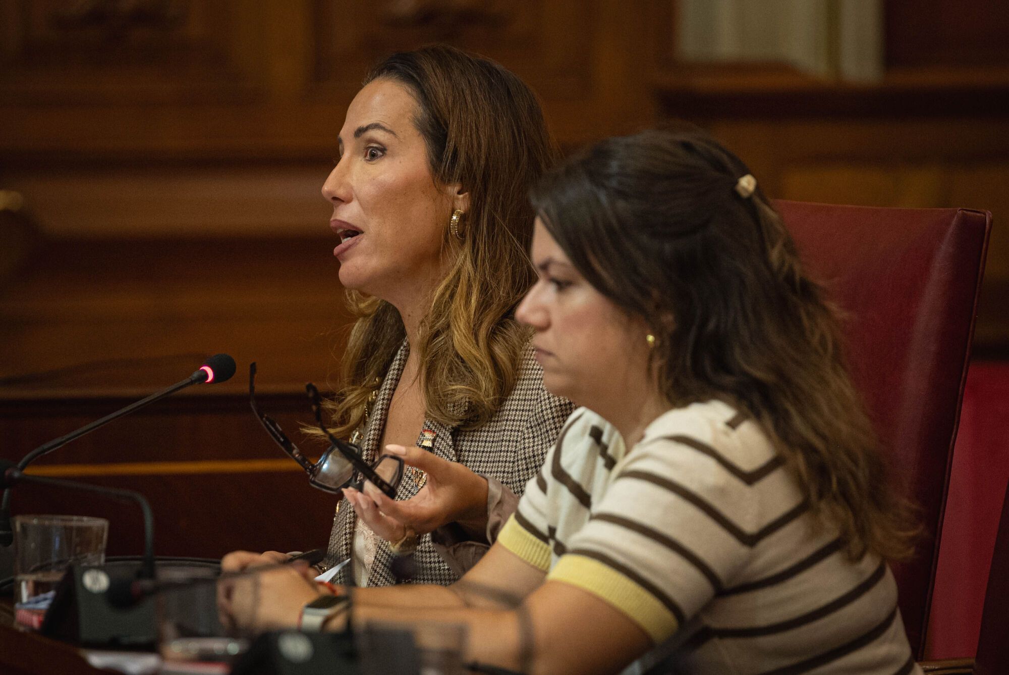 Pleno del Ayuntamiento de Santa Cruz