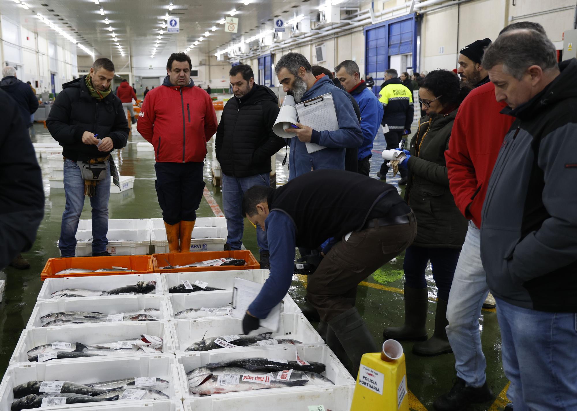 Barcos portugueses recurren a la lonja de Vigo para vender tintoreras y pez espada