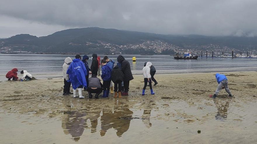 Los escolares de Redondela conocen el marisqueo