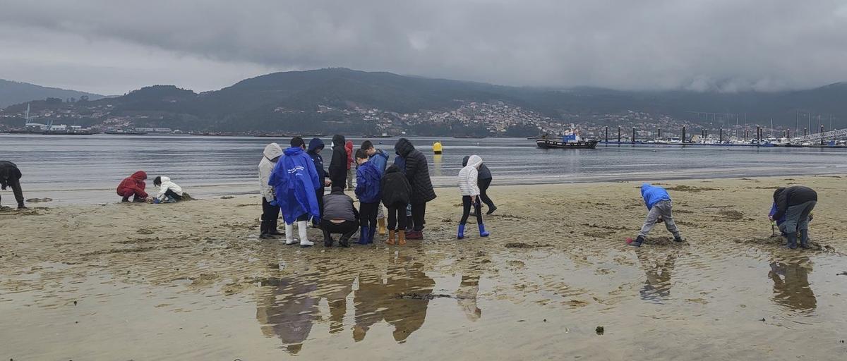 Alumnos del colegio de Laredo, durante la actividad en la playa de Arealonga de Chapela. | C.R.