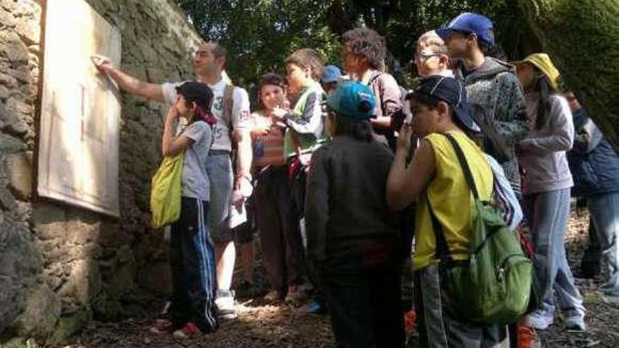 Visita de los escolares a los molinos de A Salgueira, en Mos.  // D. P.