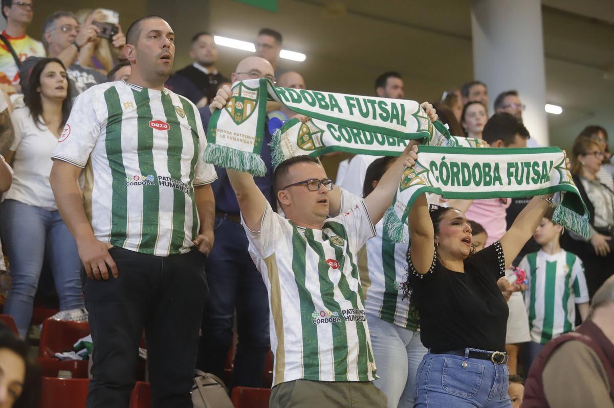 El Córdoba Futsal - Industrias Santa Coloma, en imágenes El Córdoba Futsal - Industrias Santa Coloma, en imágenes