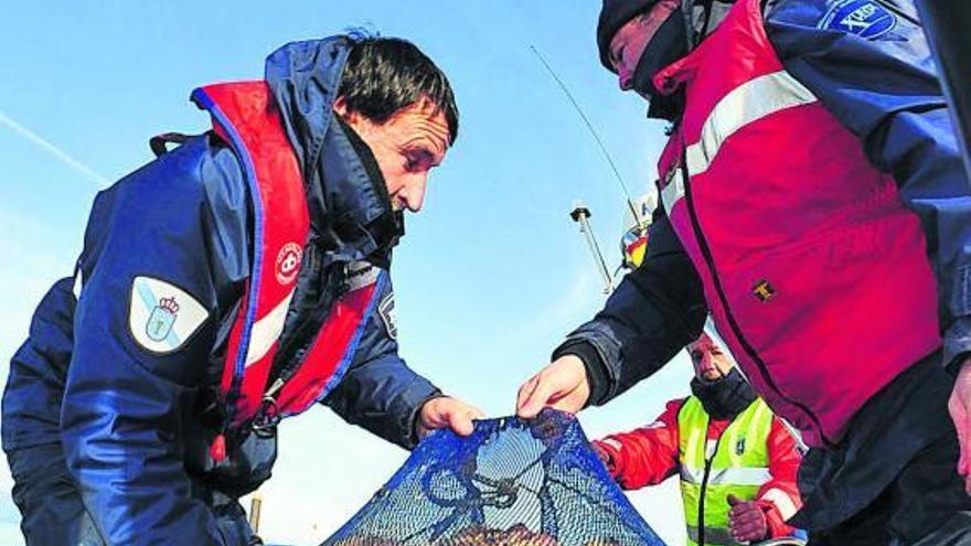 Efectivos de Gardacostas con un decomiso de vieira tóxica.  //  Iñaki Abella