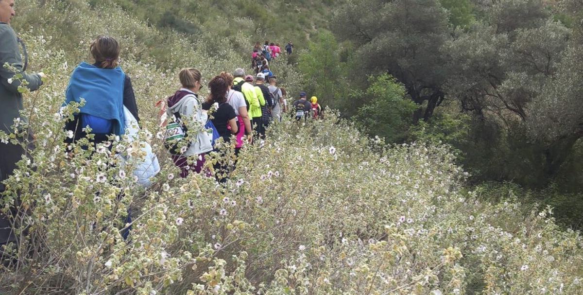 La cita deportiva y social discurrió por senderos y la zona del río. | SERVICIO ESPECIAL
