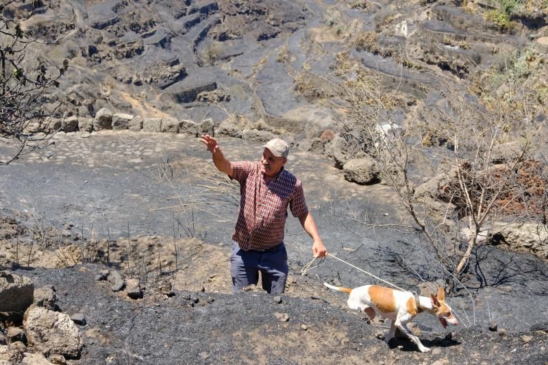 Consecuencias del incendio: De Valleseco a Artenar