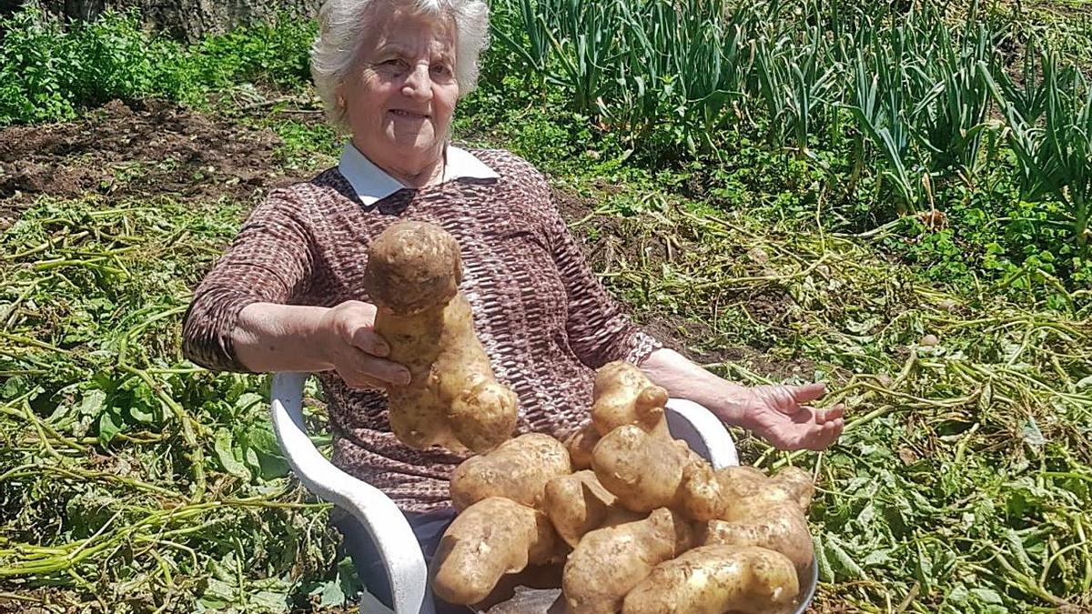 Tere Sopeña muestra varias de las gigantescas patatas cosechadas en Los Corrales. | Vicente Alonso