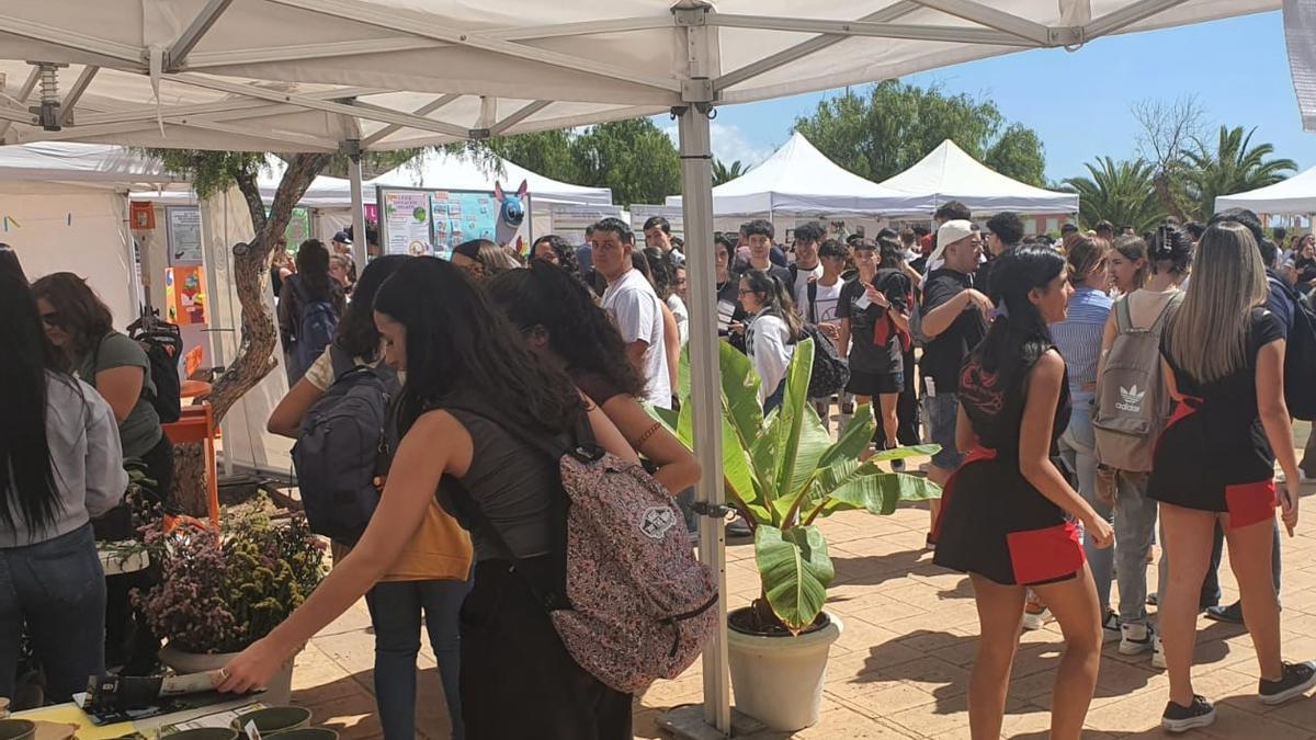 Muestra de las Profesiones del Distrito Suroeste de Santa Cruz de Tenerife