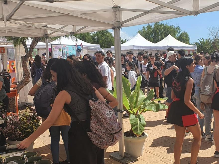 Muestra de las Profesiones del Distrito Suroeste de Santa Cruz de Tenerife