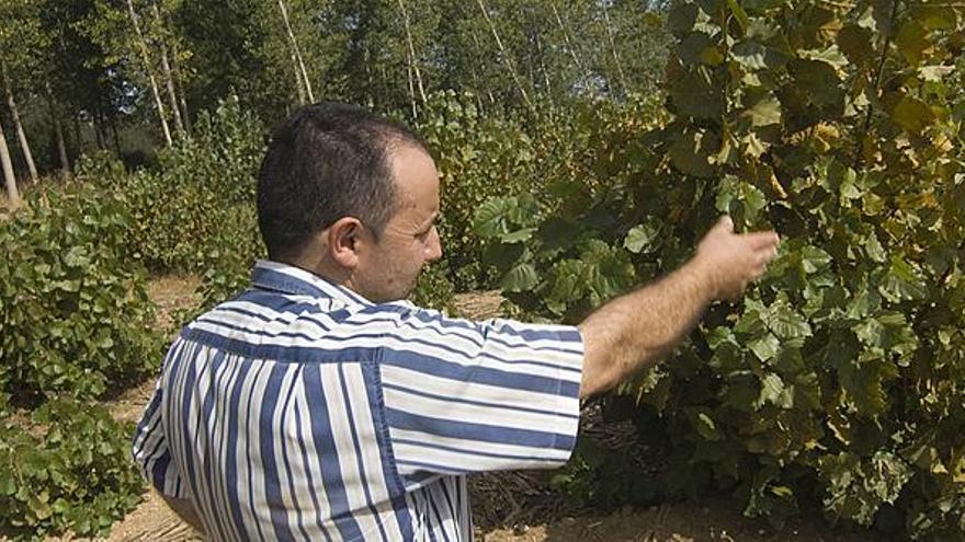 El alcalde de Maire señala una zona de ribera pendiente de plantación.