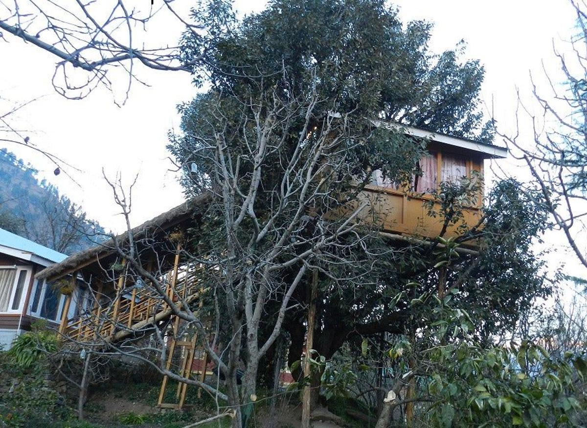 Tree House Cottages Manali