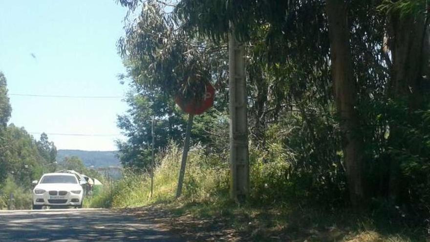 Imagen del &quot;Stop&quot; de la bajada hacia A Borna, cubierta por las ramas de un árbol.