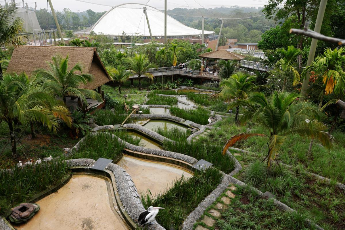 Singapur estrena el parque Paraíso de los pájaros