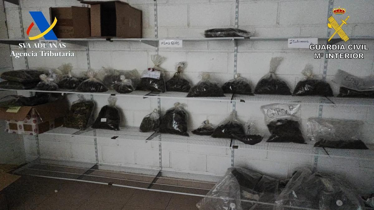 Operación para desmantelar un centro de producción y comercialización de cannabis en Azuaga
