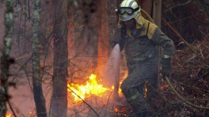 Un agente forestal intenta apagar las llamas, ayer ,en las Fragas do Eume. / kiko / efe