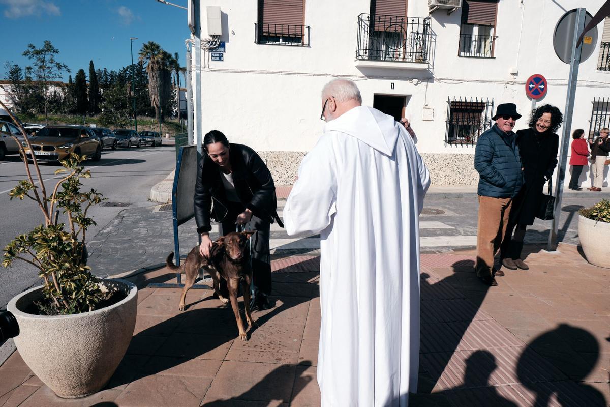 Churriana celebra la bendición de San Antón Churriana celebra la bendición de San Antón
