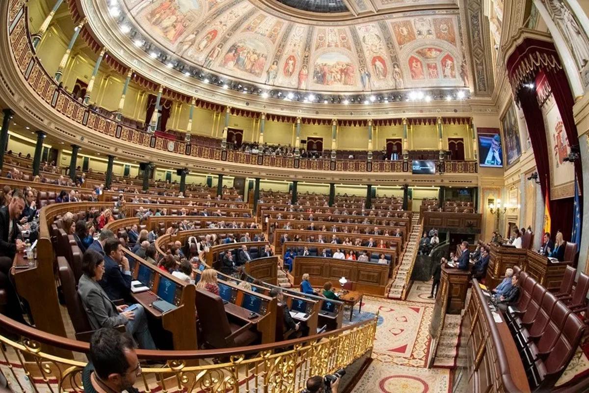 El Congrés dona el vistiplau a la llei d’Atenció a la Clientela que blinda l’ús del català
